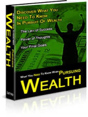 cover image of In Pursuit of Wealth
